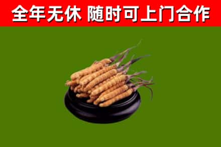 蓝田县烟酒回收冬虫夏草.jpg